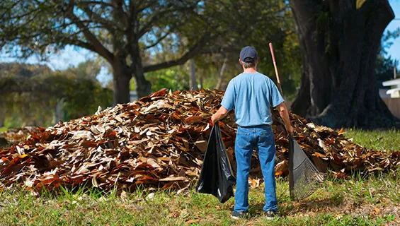 North Creek debris cleanup service ensuring spotless landscapes after pruning work.