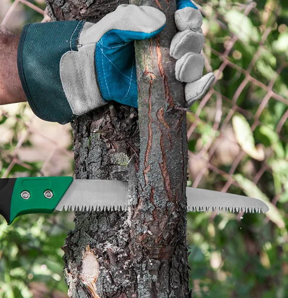 Specialized tree maintenance in North Creek NY including fertilization, pruning, and pest management.